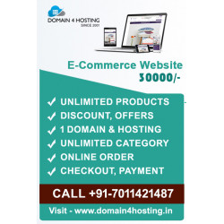 E-commerce Website with Domain & Hosting